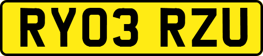 RY03RZU