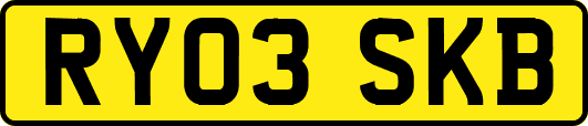 RY03SKB