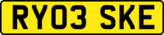 RY03SKE