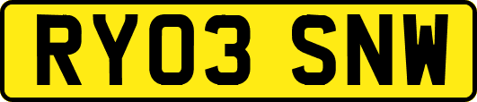 RY03SNW