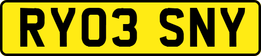 RY03SNY