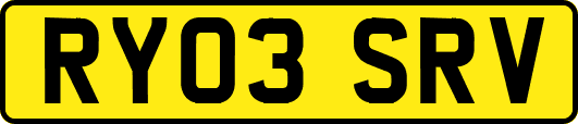 RY03SRV