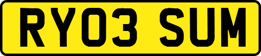 RY03SUM