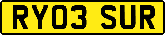 RY03SUR