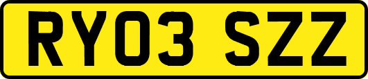 RY03SZZ