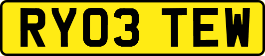 RY03TEW
