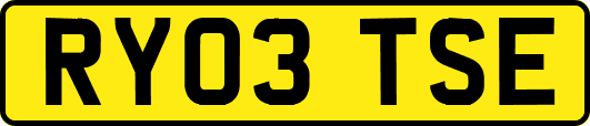 RY03TSE