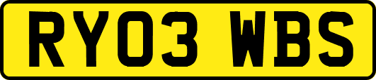 RY03WBS