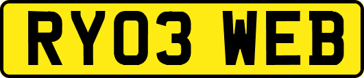 RY03WEB