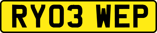 RY03WEP
