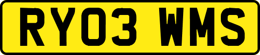 RY03WMS