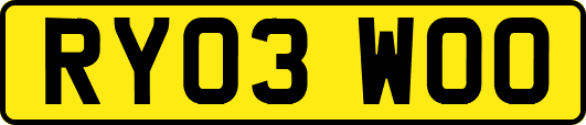 RY03WOO
