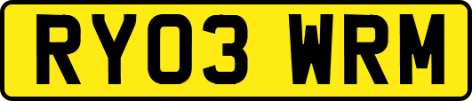 RY03WRM