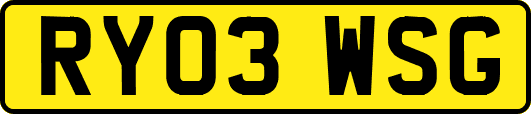 RY03WSG