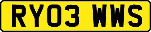 RY03WWS