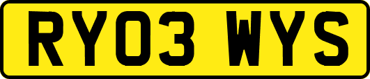 RY03WYS