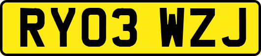 RY03WZJ