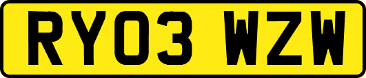 RY03WZW
