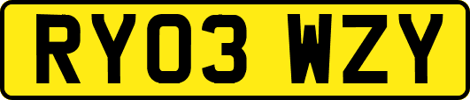 RY03WZY