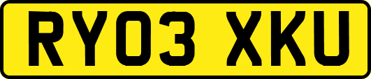 RY03XKU