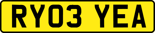 RY03YEA