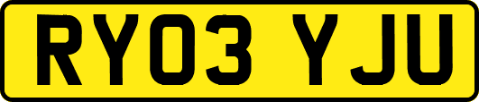 RY03YJU