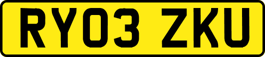RY03ZKU