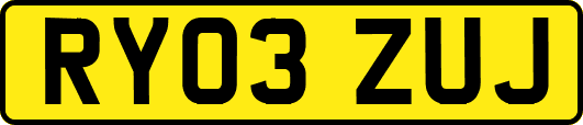 RY03ZUJ