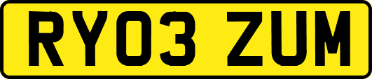RY03ZUM