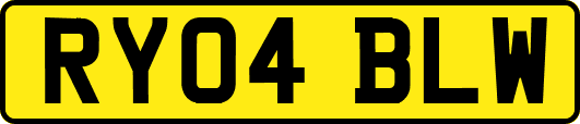 RY04BLW