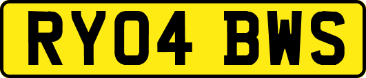RY04BWS