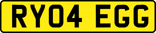 RY04EGG
