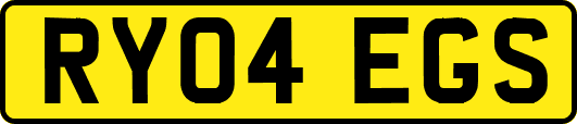 RY04EGS