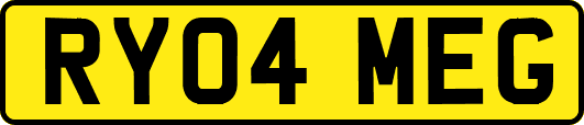 RY04MEG