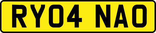 RY04NAO