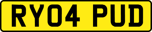 RY04PUD