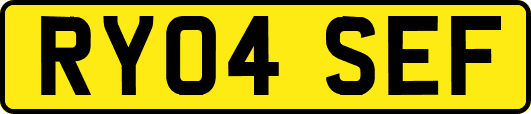 RY04SEF