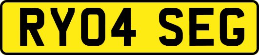 RY04SEG