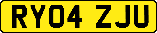 RY04ZJU