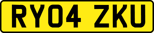 RY04ZKU