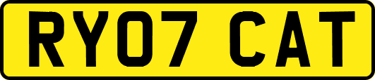 RY07CAT