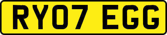 RY07EGG