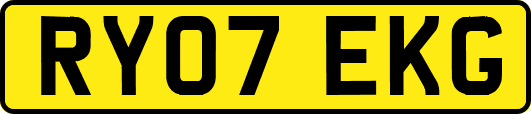 RY07EKG