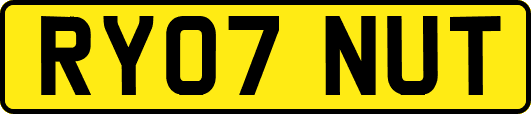 RY07NUT