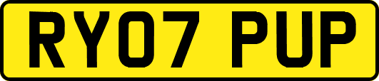 RY07PUP