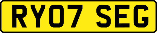 RY07SEG