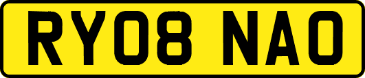 RY08NAO