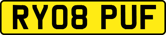RY08PUF