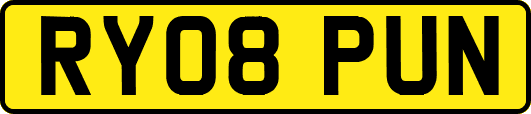 RY08PUN