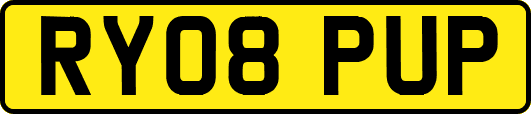 RY08PUP